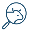 Icon 1